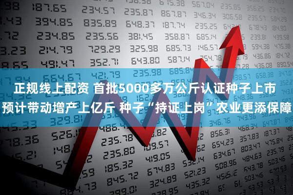 正规线上配资 首批5000多万公斤认证种子上市 预计带动增产上亿斤 种子“持证上岗”农业更添保障