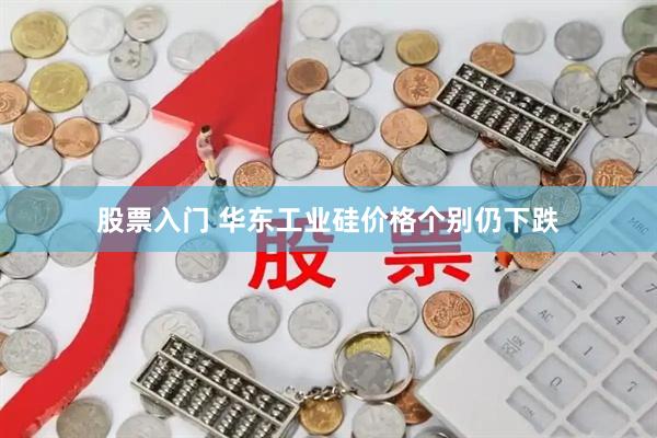 股票入门 华东工业硅价格个别仍下跌